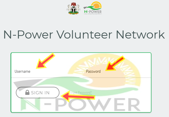 What Next for Npower PPA Appointment After N-Power BVN Update?