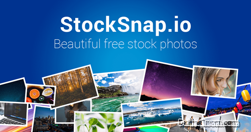 Steps To Stocksnap Registration: Free Stock Photos Sign Up