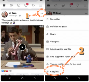 Download FB Video Without App | Facebook Video Downloader Online