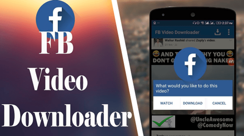 Facebook Video Downloader Online