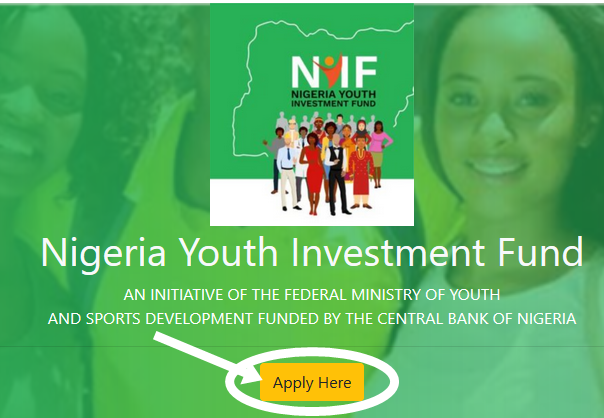 Requirement For Applying Nigeria Youth Investment Fund