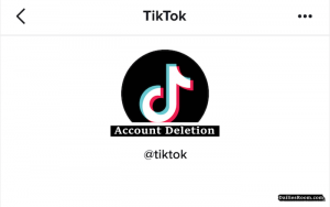 How To Delete TikTok Account | Remove TikTok Profile - TikTok Deletion Page